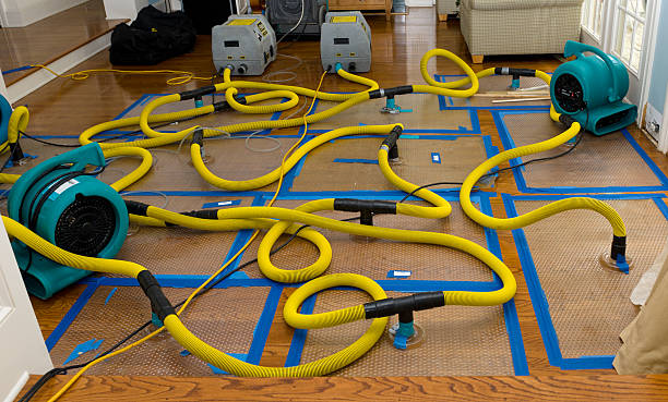 Professional Sewage Cleanup technician working in Manchester, GA